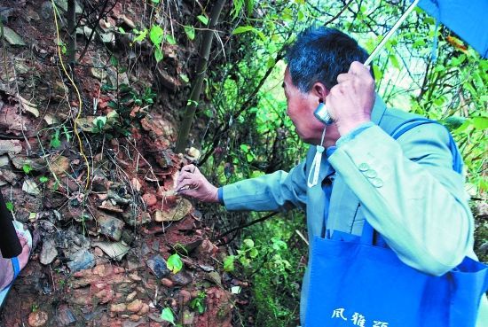 南安金淘发现宋代珠光青瓷窑址(组图)